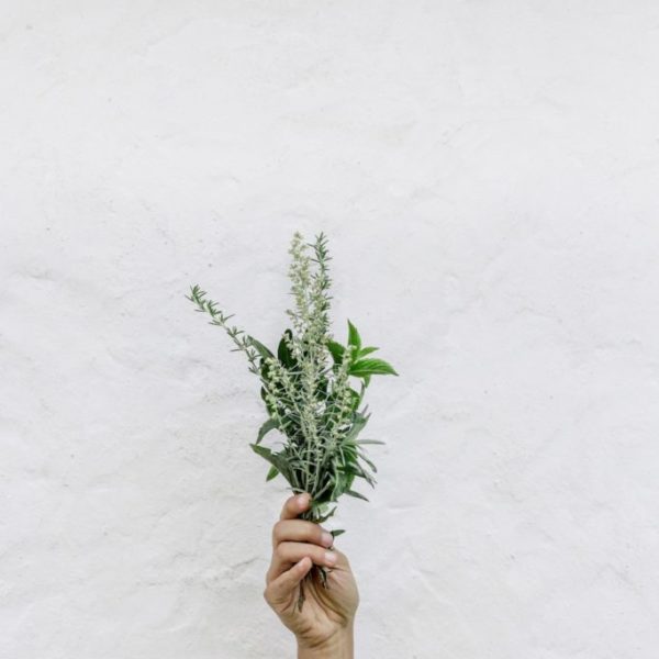 nordwood-themes-535273-unsplash